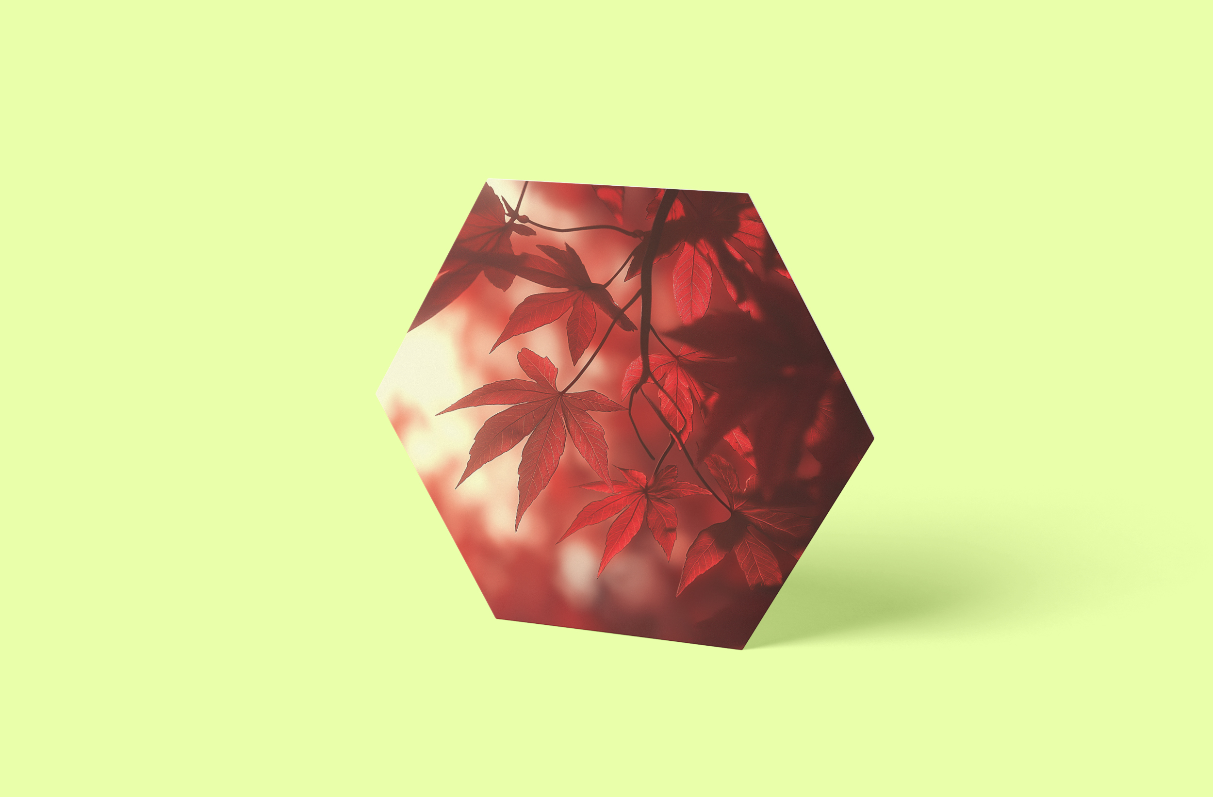 Ahornblätter Wandbild Hexagon