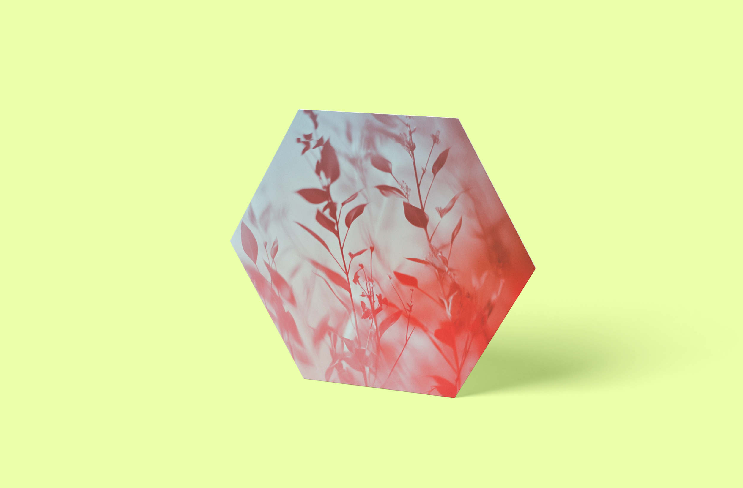 Kornblüte Hexagon Wandbild